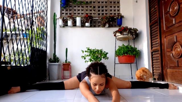 COMO FAZER ABERTURA? (RÁPIDO) смотреть онлайн