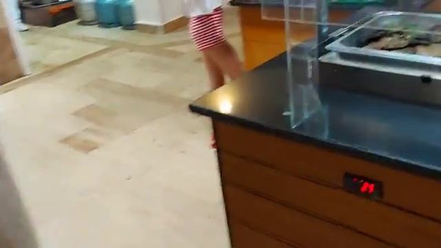 Emelda Sun Club 5*, Кемер (Чамьюва) Турция ➡️ обзор отеля смотреть онлайн