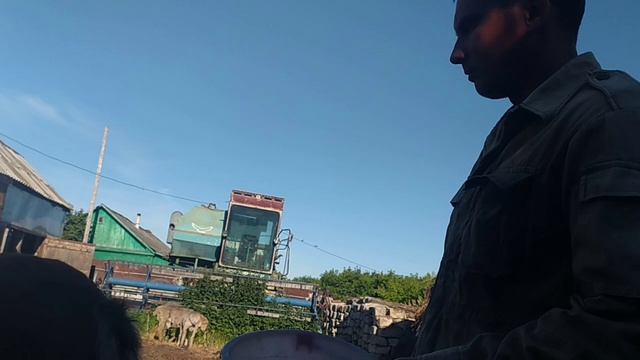 Выкармливание жеребёнка. Вот и пролитело 2 месяца. смотреть онлайн