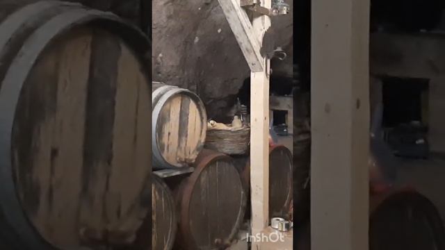 Винарна в городе Мелник, Болгария. #shorts смотреть онлайн