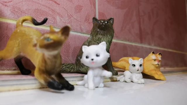 Кошачье утро смотреть онлайн