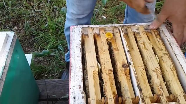 Любимая работа на Кубах смотреть онлайн