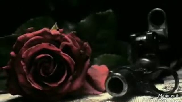 Манишь манишь меня дурманишь