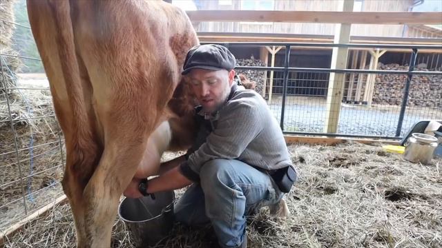 The 10-Acre Homestead | Falling From Success to Survival смотреть онлайн