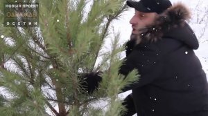 Однажды в Осетии 5-й выпуск Елка