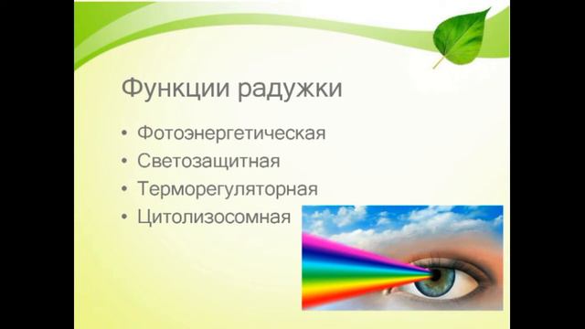 Виофтан 8 смотреть онлайн