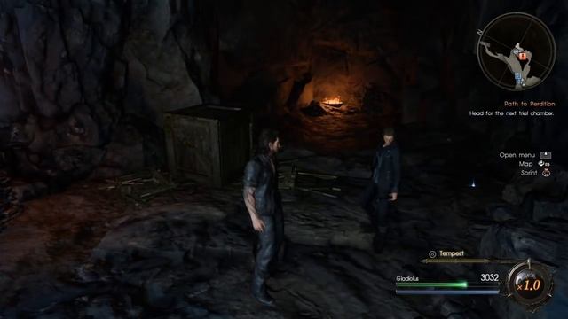 Final Fantasy XV: Episode Gladiolus Pick-Upper Trophy guide-all item locations смотреть онлайн