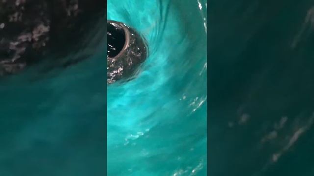 центробежный концентратор золота смотреть онлайн