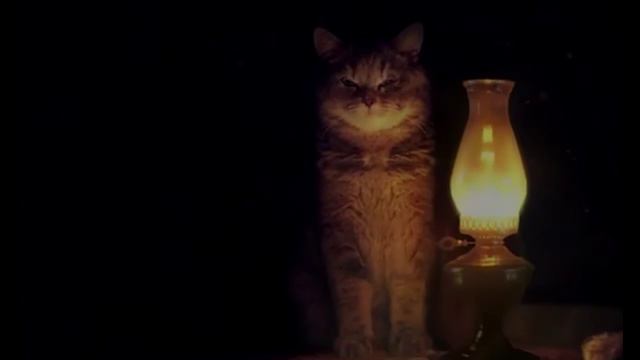 "Зашквар обзор" Как достать соседа #1 смотреть онлайн