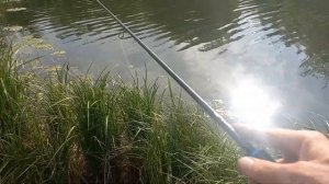 Рыбалка на Поплапопер с отводным поводком!!!