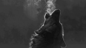 Красивый арабский нашид (без музыки)