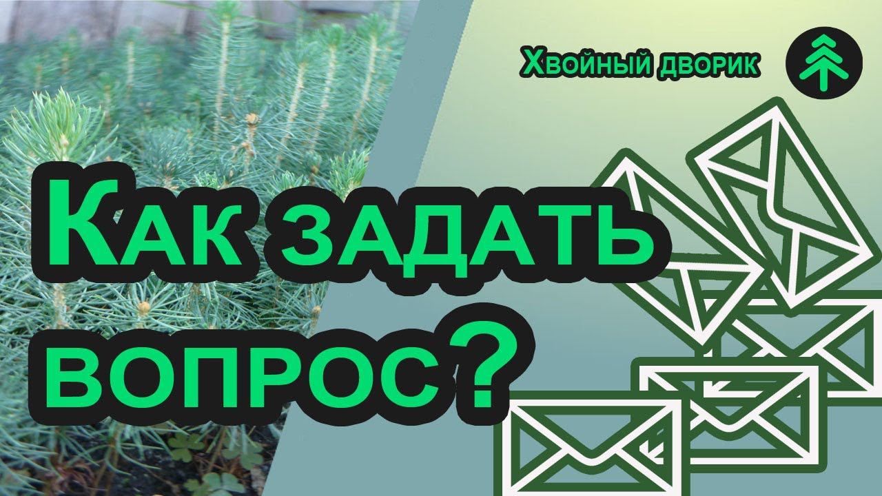 Обратная связь!Как написать и получить ответ на свой вопрос? смотреть онлайн