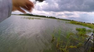 ЛОВЛЮ ПО ДВА ОКУНЯ НА ЗАБРОСЕ! Уловистая оснастка ALABAMA RIG