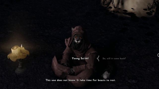 Child of Aydith - Sa'chil - Voiced Khajiit Follower (Quest Showcase) смотреть онлайн