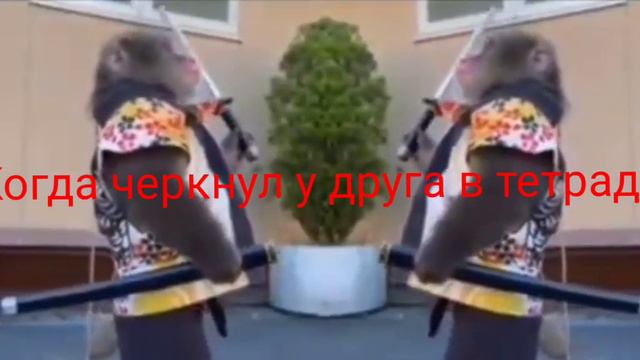 мем про дружбу смотреть онлайн
