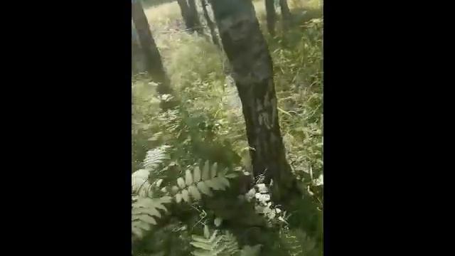 КУПАЕМСЯ В СВЯТОМ ОЗЕРЕ смотреть онлайн