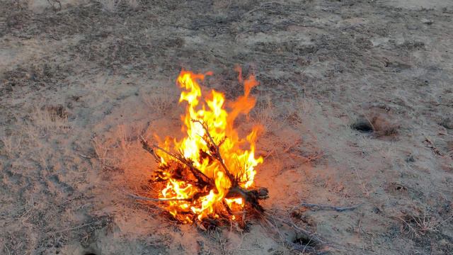 Костер в пустыне Казалинского района смотреть онлайн