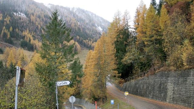 Sonnet 73 'That time of year...' смотреть онлайн