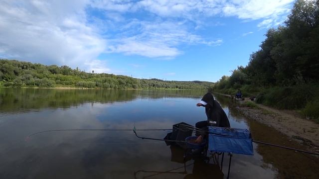 Ловля Леща на фидер. Алексин река Ока смотреть онлайн