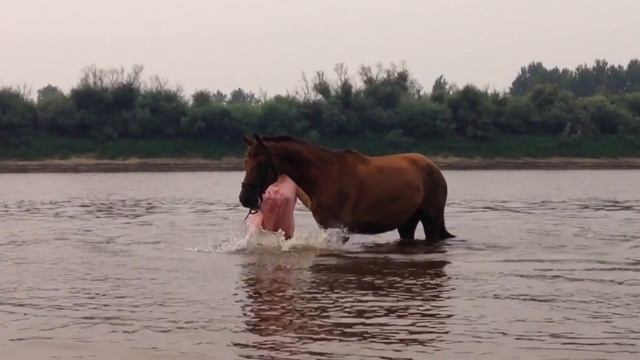 River (Купание Хургады) смотреть онлайн