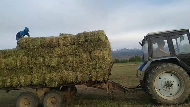Сборка СЕНО с погрузчиком Тюков в Кыргызстане