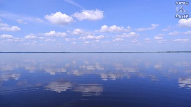 Это всё, где-то в болотах смотреть онлайн