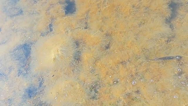 Вертушка на щуку и окуня. Рыбалка на рассвете в городе Астана. смотреть онлайн