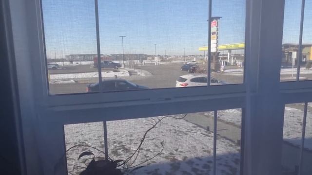 Зачем его держать//Отчёт о продажах потерянных посылок и паллетов! смотреть онлайн