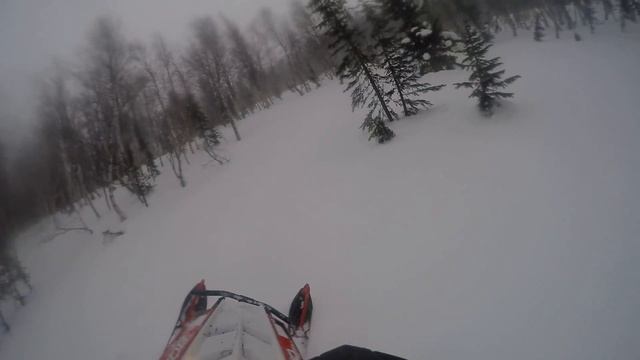 Лайтовая прогулка по лесу смотреть онлайн