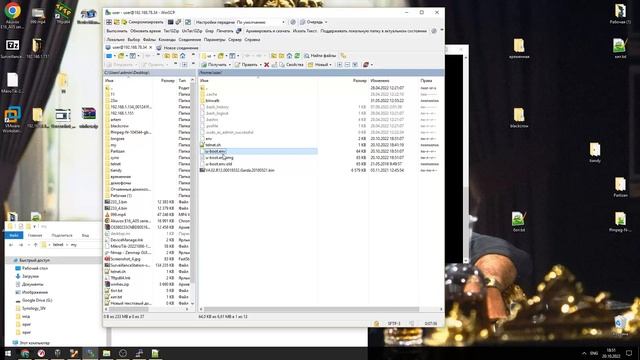 Принудительное включение Telnet на устройствах XMEye смотреть онлайн