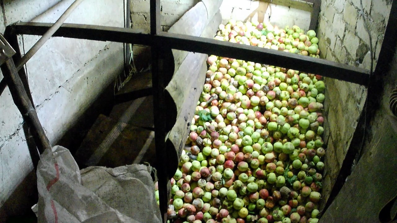 Ленивая технология вермикомпостирования и разведение червей в домашних условиях. Кормление червей смотреть онлайн