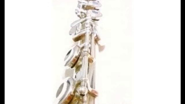 Flute practice recording fragments- 1 смотреть онлайн