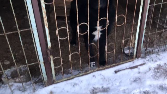 Снег смотреть онлайн