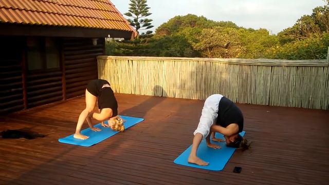 Yoga Surf Lodge смотреть онлайн