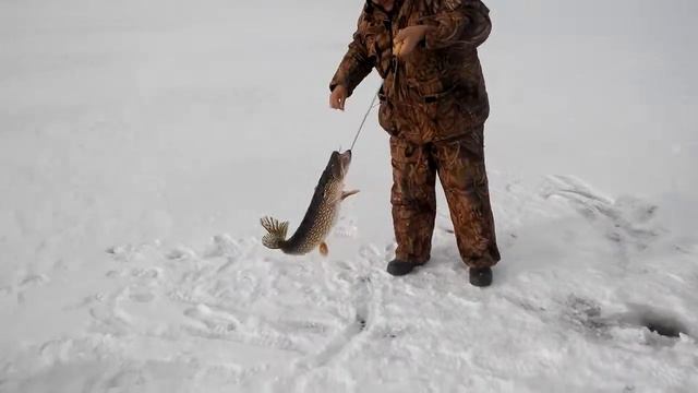 Каршевитое щука 2015 смотреть онлайн