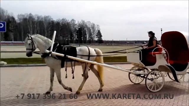 Белый фаэтон модели "Виктория-Диана" от "Каретного Двора" в Екатеринбурге. КСК "Дубрава". смотреть онлайн