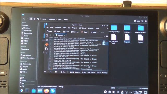 Steam Deck Wii U WUX File Setup