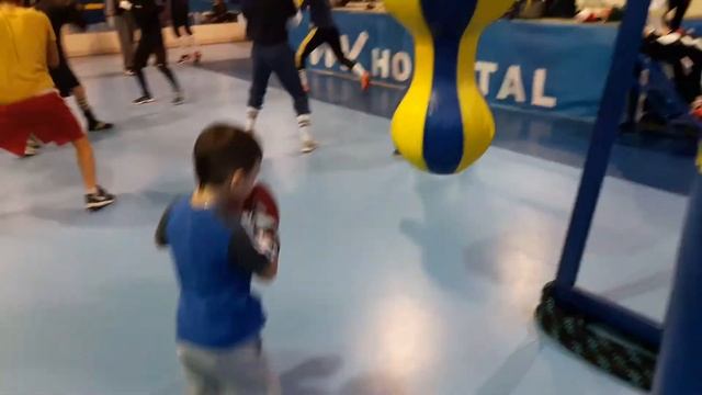 Турецкий чемпион Ян Дробина 5 лет. смотреть онлайн