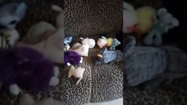 Видео перед дачей 🏡🏠 смотреть онлайн