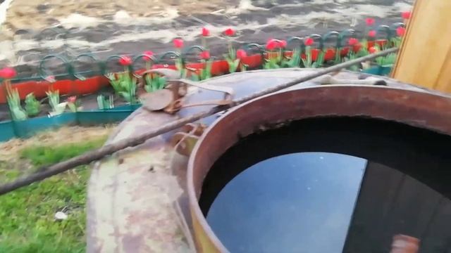 На участке все расцветает, будет хороший урожай! Шашлычёк с овощами. смотреть онлайн