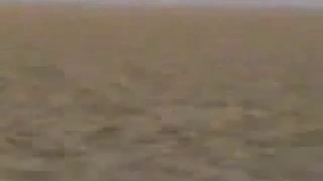 Два моря, воды которых не смешиваются 360p смотреть онлайн