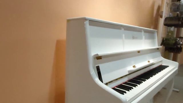 KD-106 Upright Digital Piano+ Bluetooth смотреть онлайн
