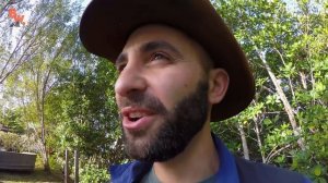 УКУС КАЙМАНОВОЙ ЧЕРЕПАХИ / Койот Питерсон на русском