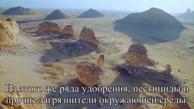 Мнимые больные как отличить ложную аллергию от настоящей — Статья смотреть онлайн