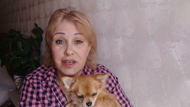 Наличными за проезд оплатить нельзя! Информация для гостей города. смотреть онлайн