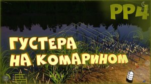 Густера на озере Комариное • Русская рыбалка 4 • Ловля на фидер. Фарм монет и опыта новичкам