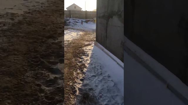 Дом из арболита 02.02.2021 смотреть онлайн