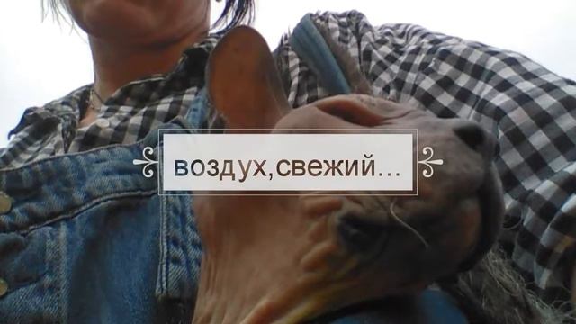 Лето смотреть онлайн