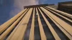 Лягушка на мотоцикле