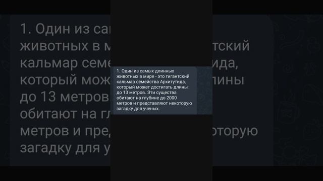 Один из самых длинных животных в мире #shorts смотреть онлайн